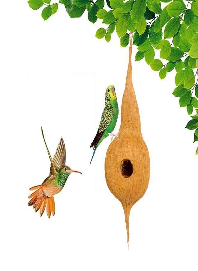 DealFry Handmade Hanging Bird Nest with Single Hole Made of Natural Coir Fiber Coconut Shell, Hanging Bird Nest for Cage and Balcony Birds Sparrows Finches Breeding (Brown | Medium) - (Set-5) - Image 4